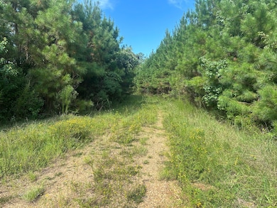 0 Coppell unit 24578243, Centreville, MS 39631 - photo 5