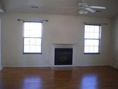 Vaulter Living Room with Fireplace