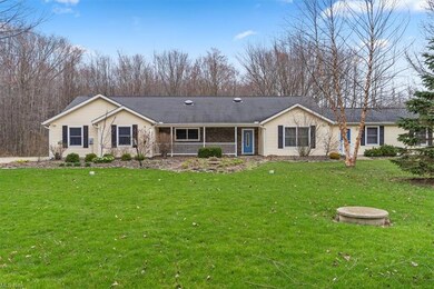 3850 N County Line Rd, Geneva, OH 44041 - photo 5