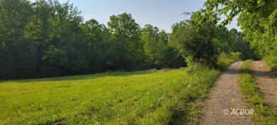 34316 Beech Grove Rd, Rutland, OH 45775 - photo 4