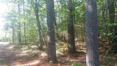 0 H Rd unit 1326139, Acton, ME 04001 - photo 5