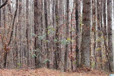 73 acres County Road 93, Bankston, AL 35542 - photo 4