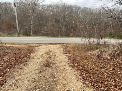 gravel, rock, leaf and dirt road