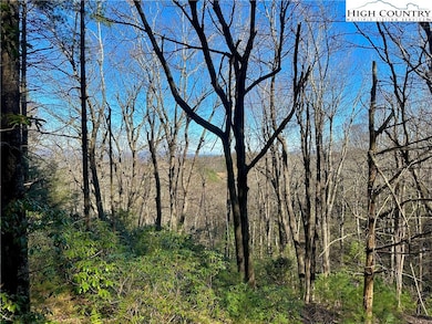 TBD George Hayes Rd, Boone, NC 28607 - photo 5