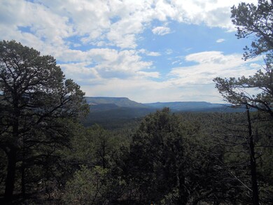 33817 Turkey Creek Ln unit B 67, Trinidad, CO 81082 - photo 2