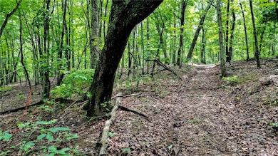 TractA Clark Dr, Jasper, GA 30143 - photo 3