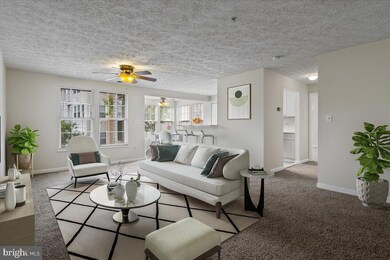 2445 103 Blue Spring Ct unit 103, Odenton, MD 21113 - photo 5