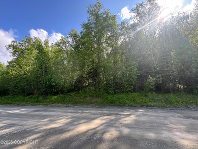 3597 S Dawn Lake Dr, Wasilla, AK 99654 - photo 4