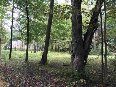 0 Mason Ln, New Scotland, NY 12159 - photo 3