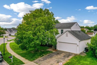 3-web-or-mls-DJI_0687