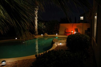 Backyard pool