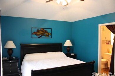 Master Bedroom - Vaulted Ceiling