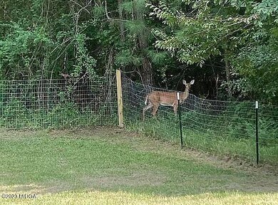 IMG_8198(1)