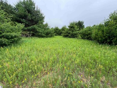 Lot #7 E Bellinger Rd unit 7, Cedar, MI 49621 - photo 6