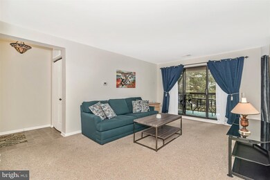 1000 Brinker Dr unit 202, Hagerstown, MD 21740 - photo 2