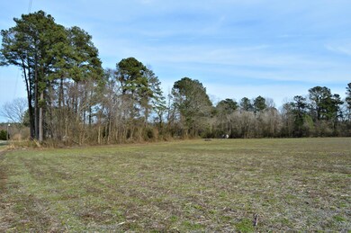 field 3