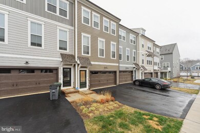 1698 Beech Leaf St, Dumfries, VA 22026 - photo 3