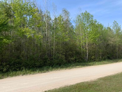 TBD McNeil Chapel Rd, Loris, SC 29569 - photo 5