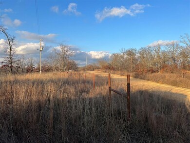 View of local wilderness