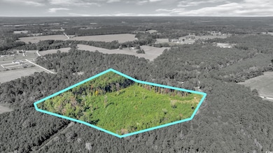 TBD Not Specified, Conway, SC 29526 - photo 4