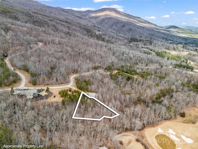 146 Wee Burn Cove, Mill Spring, NC 28756 - photo 3