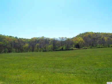 Additional View 3