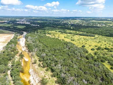 Aerial view of a forest