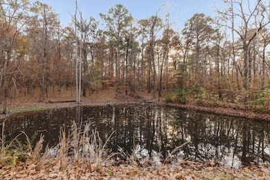 8718 Amber Ln, Alexander, AR 72002 - photo 4