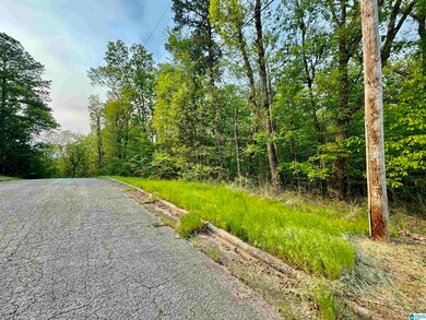 0 Windsor Cir unit 21382751, Anniston, AL 36207 - photo 7