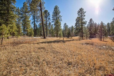 699 N Lakeside Dr, Durango, CO 81303 - photo 2