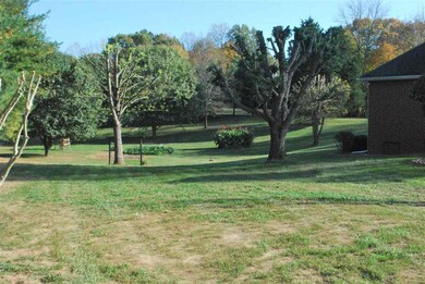 250 Collett Bridge Rd, Alvaton, KY 42122 - photo 6