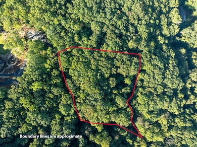 Lot 9 Moss Creek Trail, Ellijay, GA 30536 - photo 4