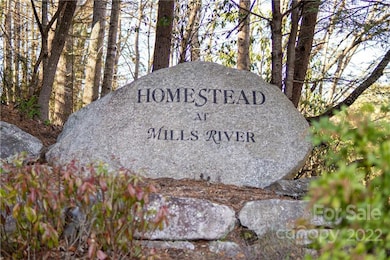 000 Mills River Way unit 101, Horse Shoe, NC 28742 - photo 4