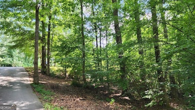 6670 Old Ferry Ct, Douglasville, GA 30135 - photo 7