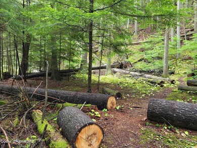 Granite Creek 3