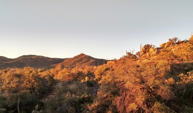 IMG_20160131_073307379_HDR