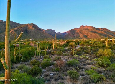 Canyon Spring 3