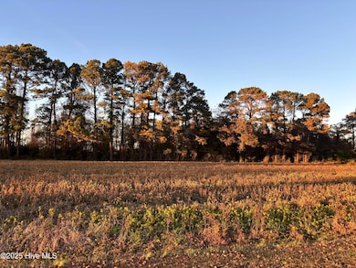 1 Bradshaw St, Clinton, NC 28328 - photo 2
