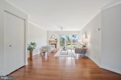 7002 Channel Village Ct unit 101, Annapolis, MD 21403 - photo 7