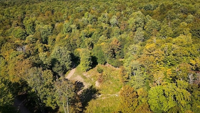 0 Tamblin Ridge Trl Lot unit WP001, Constantia, NY 13028 - photo 5