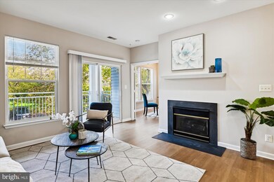 3517 Piney Woods Place unit E201, Laurel, MD 20724 - photo 3