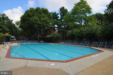 3043 S Columbus St unit B1, Arlington, VA 22206 - photo 2