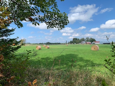 14331 395th Ln, Tamarack, MN 55787 - photo 4