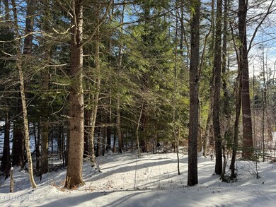 0 Tunnel Rd, Rowe, MA 01367 - photo 4