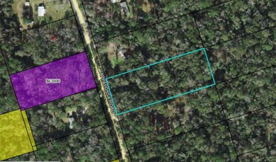 XX Appaloosa Rd, Crawfordville, FL 32327 - photo 4