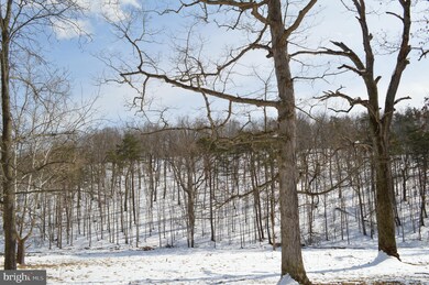 1979 Knobley Rd, Maysville, WV 26833 - photo 2