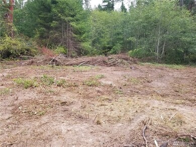 8210 128th Ave Ct, Anderson Island, WA 98303 - photo 6