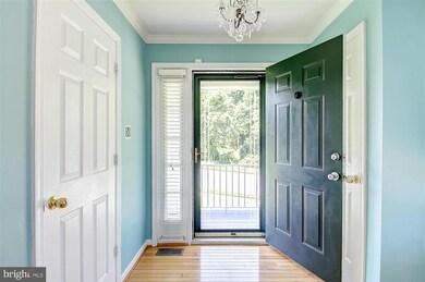 4601 Sherwood Mills Rd, Owings Mills, MD 21117 - photo 4