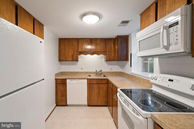 4862 28th St S unit C2, Arlington, VA 22206 - photo 7