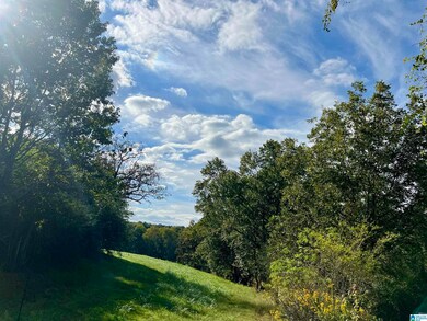 0 County Road 504 unit 21433250, Graham, AL 36263 - photo 2